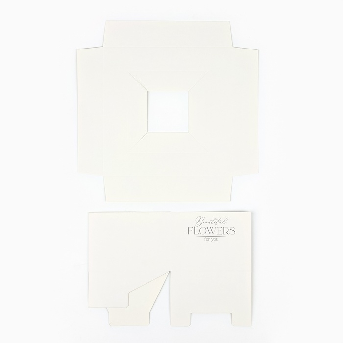 Коробка подарочная складная переноска для цветов, упаковка, &laquo;Чистота&raquo;, 20 x 20 x 4 см