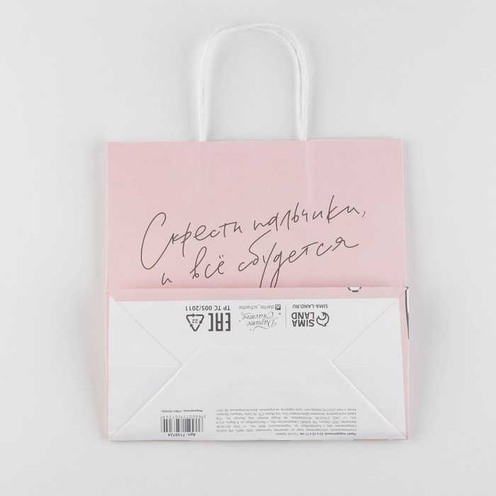 Пакет подарочный, упаковка, &laquo;Киса&raquo;, 22 х 22 х 11 см