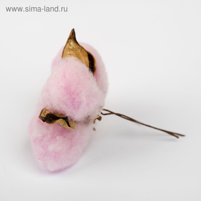 Сухие цветы хлопка, набор 3 шт., размер 1 шт. 6 × 6 см, цвет розовый Сухие цветы хлопка, набор 3 шт., размер 1 шт. 6 × 6 см, цвет розовый