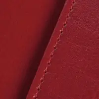 Обложка для паспорта Nebraska, красная