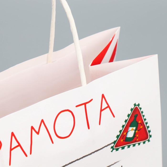 Пакет подарочный новогодний крафтовый «Молодец», 22 х 22 х 11 см, Новый год Пакет подарочный новогодний крафтовый «Молодец», 22 х 22 х 11 см, Новый год