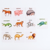 Набор карточек &laquo;Да или нет. Животные&raquo;