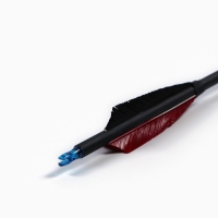 Набор стрел для лука 3 шт, карбон, черная, оперение - красное, 80 см Набор стрел для лука 3 шт, карбон, черная, оперение - красное, 80 см