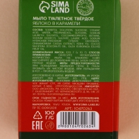Подарочный набор URAL LAB &laquo;Тёплой зимы&raquo;, мыло для рук кусковое, 2х100 г, Новый Год
