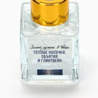 Аромадиффузор ароматический палочки на Новый год &laquo;Новогодняя коллекция: Зимние морозы&raquo;, аромат мята, 50 мл