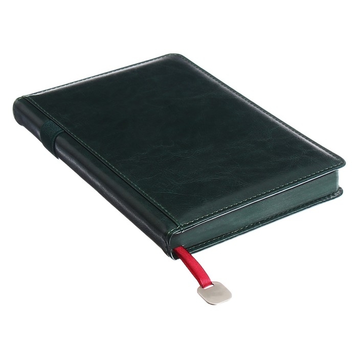 Ежедневник недатированный А5, 160 листов POLO NEW, твёрдая обложка, искусственная кожа, зелёный