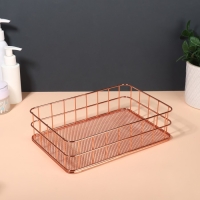 Органайзер для хранения косметических принадлежностей «РАФАЭЛЬ», 24,5 × 16,5 × 6,5 см, цвет бронзовый Органайзер для хранения косметических принадлежностей «РАФАЭЛЬ», 24,5 × 16,5 × 6,5 см, цвет бронзовый