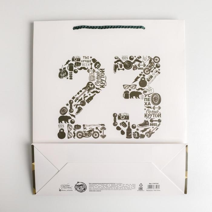 Пакет подарочный ламинированный вертикальный, упаковка, «23 февраля», M 26 х 30 х 9 см Пакет подарочный ламинированный вертикальный, упаковка, «23 февраля», M 26 х 30 х 9 см