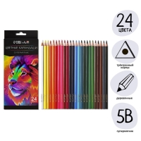 Карандаши 24 цветов TOP Calligrata, в картонной коробке, диаметр грифеля - 3мм, 5B Карандаши 24 цветов TOP Calligrata, в картонной коробке, диаметр грифеля - 3мм, 5B