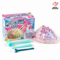Набор для раскопок &laquo;Морской мир&raquo;, гипсовая ракушка, инструменты, 5+