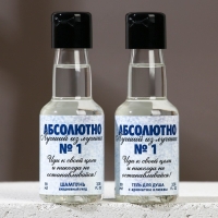 Подарочный набор косметики &laquo;Абсолютно лучший&raquo;, гель для душа и шампунь для волос во флаконах водки, 2 х 90 мл, Новый Год