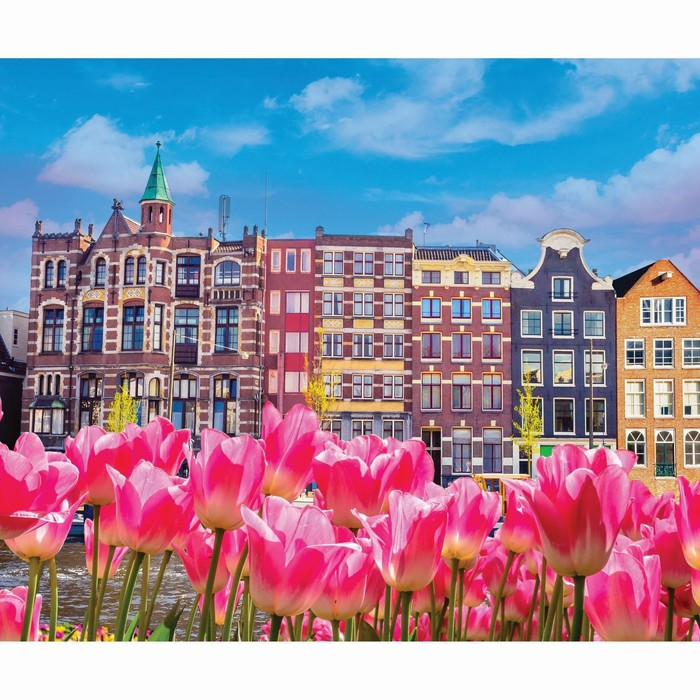 Алмазная мозаика с частичным заполнением на подрамнике &laquo;Дома с тюльпанами&raquo;, 50 x 60 см