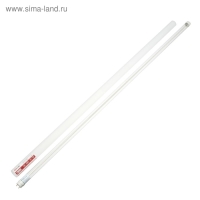 Лампа светодиодная IN HOME, G13, 20 Вт, 1620 Лм, 6500 К, 1200 мм, прозрачная, холодный белый Лампа светодиодная IN HOME, G13, 20 Вт, 1620 Лм, 6500 К, 1200 мм, прозрачная, холодный белый