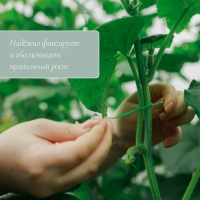 Проволока подвязочная, 50 м, зелёная, Greengo Проволока подвязочная, 50 м, зелёная, Greengo