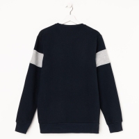 Свитшот мужской, цвет синий/серый, размер 54