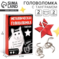 Металлическая головоломка &laquo;Опять решить не можешь?&raquo;, с танграмом
