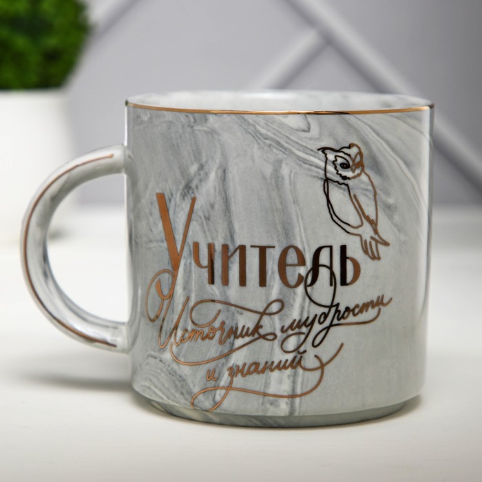 Кружка керамическая &laquo;Учитель&raquo;, 350 мл, цвет серый
