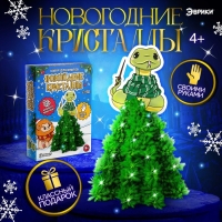 Набор для опытов «Новогодние кристаллы», змейка-волшебница Набор для опытов «Новогодние кристаллы», змейка-волшебница
