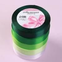 Набор атласных лент, 5 шт, размер 1 ленты: 20 мм × 23 ± 1 м, цвет зелёный спектр Набор атласных лент, 5 шт, размер 1 ленты: 20 мм × 23 ± 1 м, цвет зелёный спектр