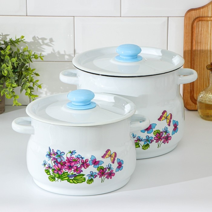 Набор кастрюль &laquo;Фиалка&raquo;, 2 предмета: 4 л, 5,5 л, индукция, цвет МИКС