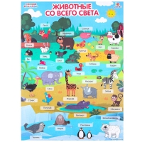 Обучающие плакаты &laquo;Синий трактор&raquo;