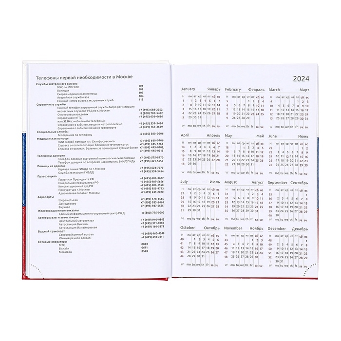 Ежедневник датированный 2025 года, deVENTE. Flag, A5 168 листов, твердая обложка кожзам с поролоном, тиснение фольгой, перфорация, ляссе, блок 70 г/м2