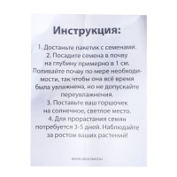 Набор для опытов «Выращиваем травку», зайка Набор для опытов «Выращиваем травку», зайка