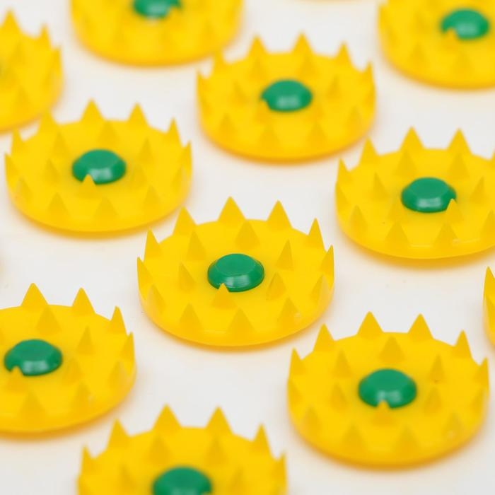 Аппликатор Кузнецова, 70 колючек, пленка, 23 x 32 см. Аппликатор Кузнецова, 70 колючек, пленка, 23 x 32 см.