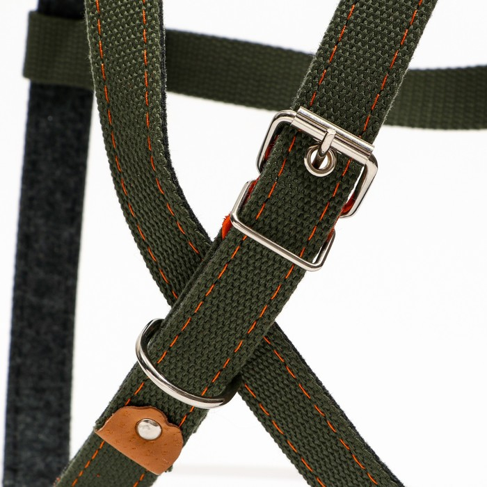 Шлейка брезентовая на фетре многоразмерная, 2,5 см, ОШ 40-60 см,ОГ 40-60 см, тёмно-зелёная Шлейка брезентовая на фетре многоразмерная, 2,5 см, ОШ 40-60 см,ОГ 40-60 см, тёмно-зелёная