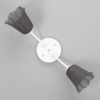 Люстра "Онлайн" (цветок) 2х15Вт Е27 МОДЕЛЬ: BR 00198 белый/черный