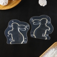 Молд для шоколада «Кролик», 13,5×13 см, цвет прозрачный Молд для шоколада «Кролик», 13,5×13 см, цвет прозрачный