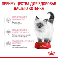 Сухой корм RC Kitten для котят, 2 кг Сухой корм RC Kitten для котят, 2 кг