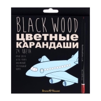 Карандаши 24 цвета BlackWoodColor, пластиковые, трёхгранные, МИКС Карандаши 24 цвета BlackWoodColor, пластиковые, трёхгранные, МИКС