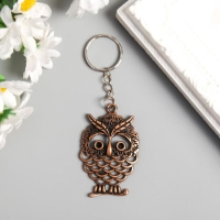 Брелок металл "Совушка на веточке" плоский бронза 5,3х4,4 см Брелок металл "Совушка на веточке" плоский бронза 5,3х4,4 см