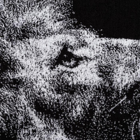 Полотенце махровое Этель ЧБ &laquo;Лев&raquo; 70х130 см