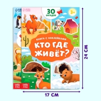 Набор книг с наклейками-загадками, 2 шт., 60 наклеек, 3+ Набор книг с наклейками-загадками, 2 шт., 60 наклеек, 3+