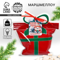 Новый год! Маршмеллоу в пакете с шильдиком «Вкусный подарок», со вкусом пломбира, 40 г Новый год! Маршмеллоу в пакете с шильдиком «Вкусный подарок», со вкусом пломбира, 40 г