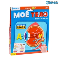 Набор для опытов &laquo;Моё тело&raquo;, глаз