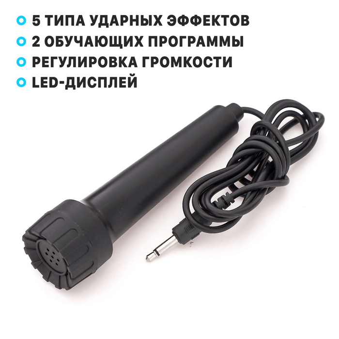 Синтезатор &laquo;Музыкант&raquo; с микрофоном, 49 клавиш, работает от сети и от батареек