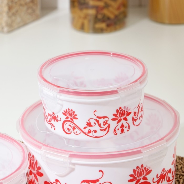 Набор ланч-боксов пластиковых круглых «Веточка», 4 шт: 0,25 л, 0,55 л, 1,05 л, 1,8 л Набор ланч-боксов пластиковых круглых «Веточка», 4 шт: 0,25 л, 0,55 л, 1,05 л, 1,8 л