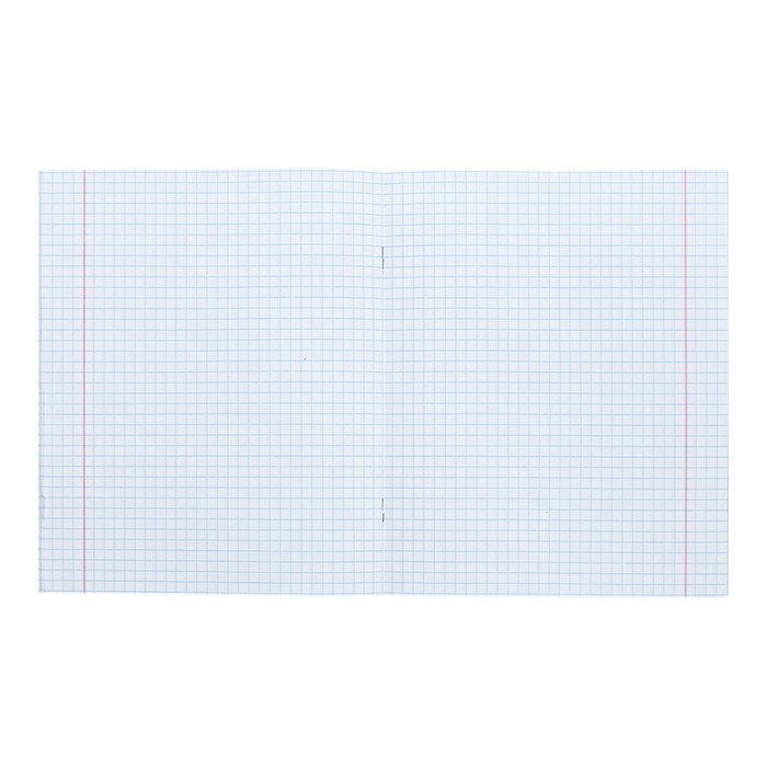 Тетрадь 48 листов в клетку Calligrata TOP Тетрадь 48 листов в клетку Calligrata TOP "Девушка и лев", обложка мелованный картон, голография, блок офсет, белизна 95%, МИКС