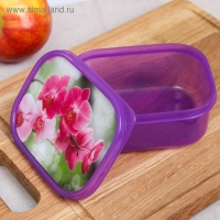 Ланч-бокс &laquo;Орхидеи&raquo;, 500 мл