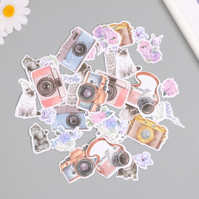 Наклейки для творчества Наклейки для творчества "Коты, цветы и фото" 3,5х5 см набор 40 шт 9,4х8,4х0,5 см