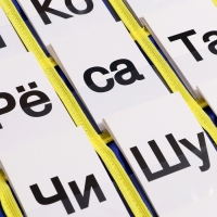 Набор дидактический &laquo;Кассы букв и слогов&raquo;, цвета МИКС