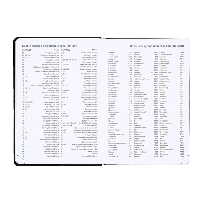 Ежедневник датированный 2025 года, deVENTE. Flag, B5 168 листов, deVENTE. Duo, твердая обложка кожзам с поролоном, шелкография, перфорация, ляссе, блок 70 г/м2