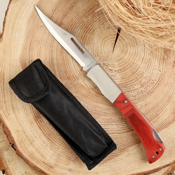 Нож складной Нож складной "Армагедон" 24,7см, клинок 107мм/1мм, рукоять дерево