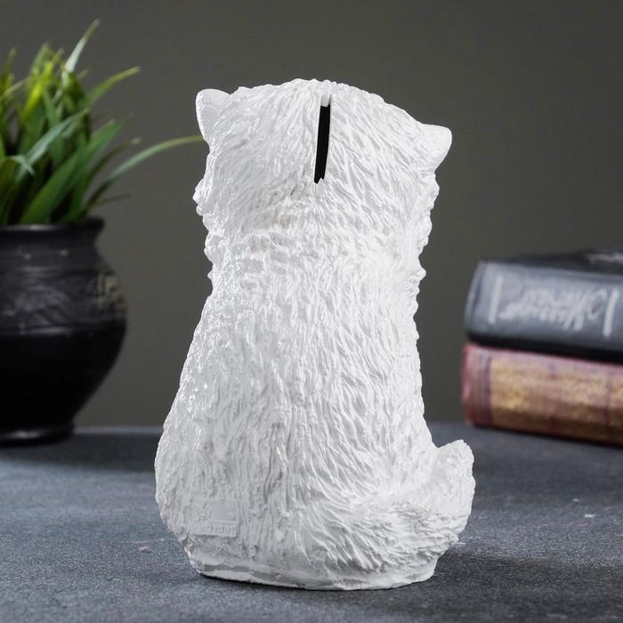 Копилка Копилка "Котенок малый" белый, 16х12см