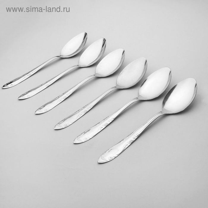 Набор столовых ложек «Общепит», толщина 0,7 мм, длина 19 см, 6 шт, цвет серебряный Набор столовых ложек «Общепит», толщина 0,7 мм, длина 19 см, 6 шт, цвет серебряный
