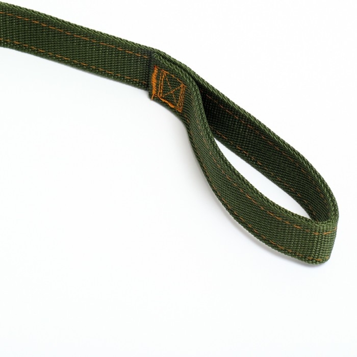 Поводок двухслойный с усиленным карабином, 1,2 м х 3 см, зелёный Поводок двухслойный с усиленным карабином, 1,2 м х 3 см, зелёный