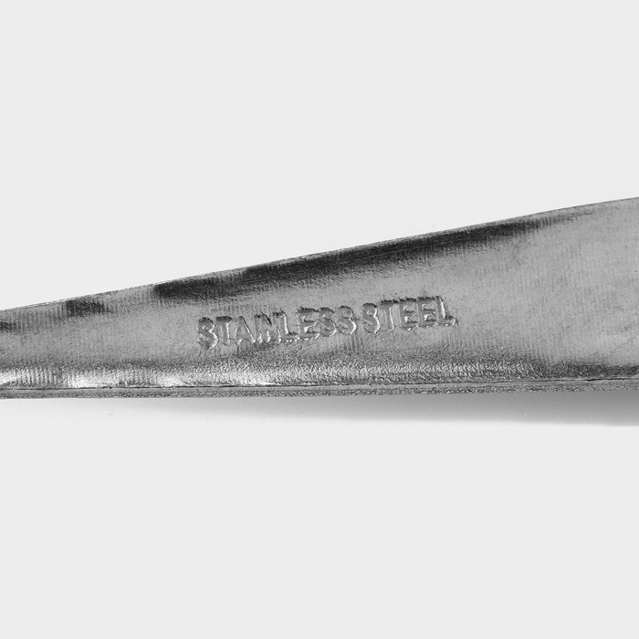 Набор столовых ложек из нержавеющей стали Доляна &laquo;Ромб&raquo;, длина 20,5 см, 6 шт, цвет серебряный